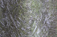 Hollinsclough fibreglass roof work